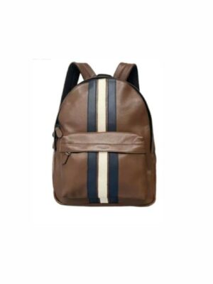 Coach Stripe Leather Backpack